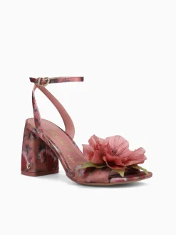 Outlet Circus NY by Sam Edelman aria flower berry blush multi Wine