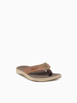 Sale Sperry baitfish thong 1048719 dk. lea Tan