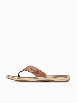 Outlet Sperry baitfish thong leather Tan