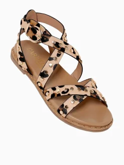 Discount Carmela carisma 162393 leopardo piel Multi