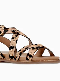 Discount Carmela carisma 162393 leopardo piel Multi