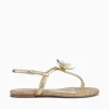 Discount Sam Edelman eden amber metallic Gold