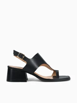 Best Ferrucci fidelity preto atanado Black