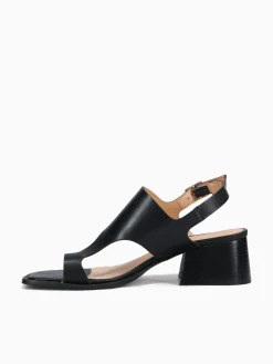 Best Ferrucci fidelity preto atanado Black