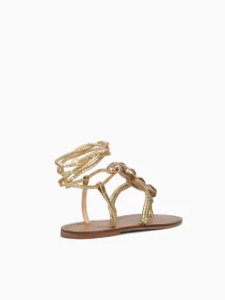 Online Ferrucci filippa ouro cristal Gold