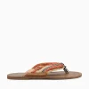 Clearance Ferrucci floris areia slim fly Beige