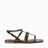 Best Jorge Bischoff jarah ntural tortoise Natural