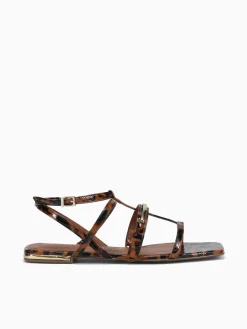 Best Jorge Bischoff jarah ntural tortoise Natural