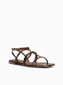 Best Jorge Bischoff jarah ntural tortoise Natural