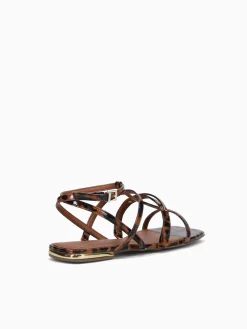 Best Jorge Bischoff jarah ntural tortoise Natural