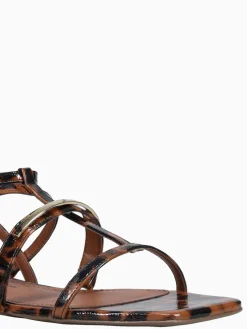 Best Jorge Bischoff jarah ntural tortoise Natural