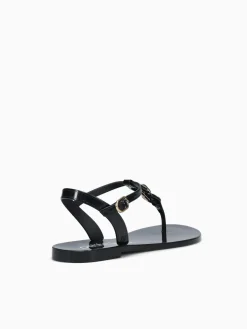 Best Petite Jolie noah ii jlastic Black