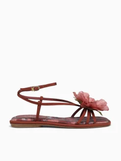 Hot Circus NY by Sam Edelman olana flower spiced merlot multi Wine