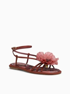 Hot Circus NY by Sam Edelman olana flower spiced merlot multi Wine