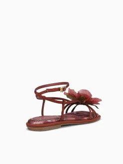 Hot Circus NY by Sam Edelman olana flower spiced merlot multi Wine