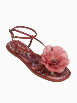 Hot Circus NY by Sam Edelman olana flower spiced merlot multi Wine