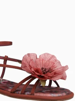 Hot Circus NY by Sam Edelman olana flower spiced merlot multi Wine