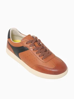 Online Florsheim pace ttoe sneaker multi leather Cognac