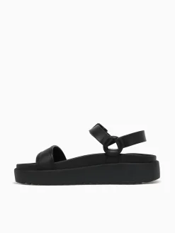 Online Petite Jolie sense jlastic Black