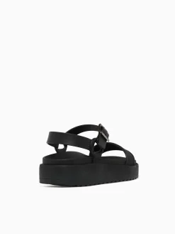 Online Petite Jolie sense jlastic Black
