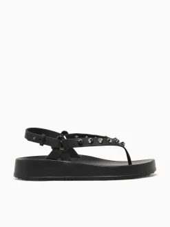 New Petite Jolie sunshine jlastic Black