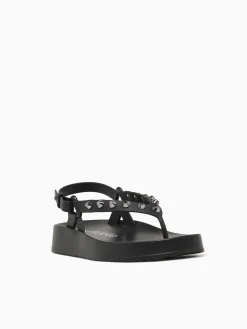 New Petite Jolie sunshine jlastic Black