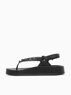 New Petite Jolie sunshine jlastic Black