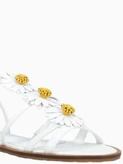 Best LF wilder branco amarelo nappa White