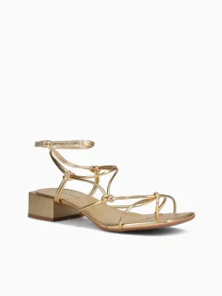 Best Anni Sitka zaniyah ouro ipanema Gold