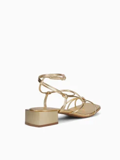 Best Anni Sitka zaniyah ouro ipanema Gold