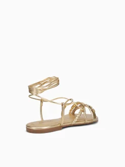 Discount Anni Sitka zelenka new chroma Gold