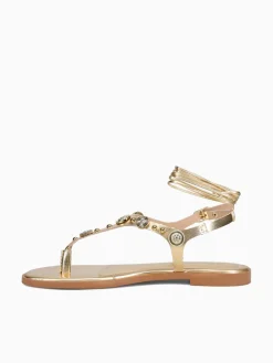 Hot Anni Sitka zelina new chroma Gold