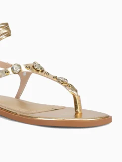 Hot Anni Sitka zelina new chroma Gold